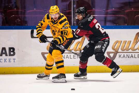 Skellefteås Pär Lindholm och Malmö Redhawks Henrik