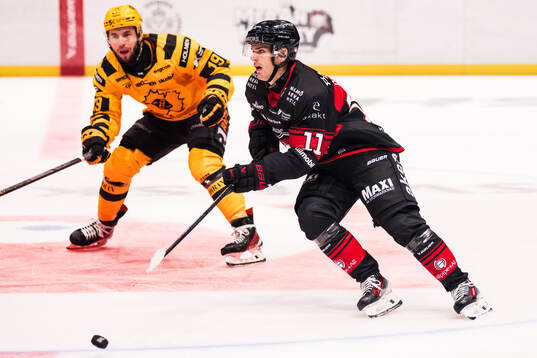 Skellefteås Martins Dzierkals och Malmö Redhawks Nikola