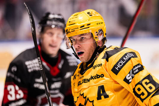 Skellefteås Rickard Hugg