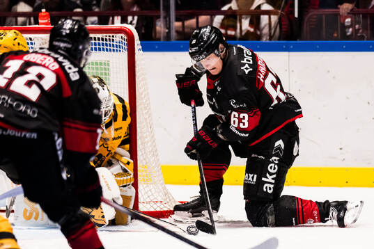 Malmö Redhawks Fredrik Händemark