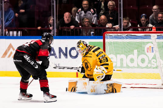 Malmö Redhawks Nikola Pasic och Skellefteås målvakt