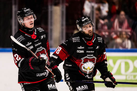 Malmö Redhawks Linus Öberg och Robin Hanzl deppar
