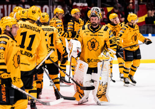 Skellefteås målvakt Gustaf Lindvall deppar
