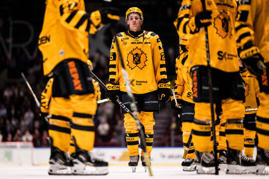 Skellefteås Pontus Johansson deppar