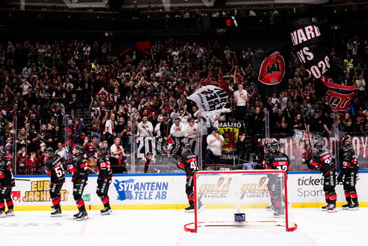 Malmö Redhawks spelare jublar
