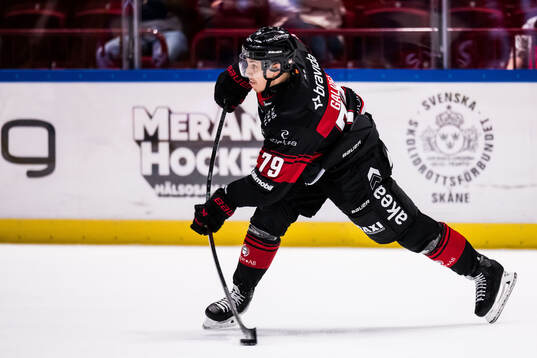 Malmö Redhawks Jakub Galvas