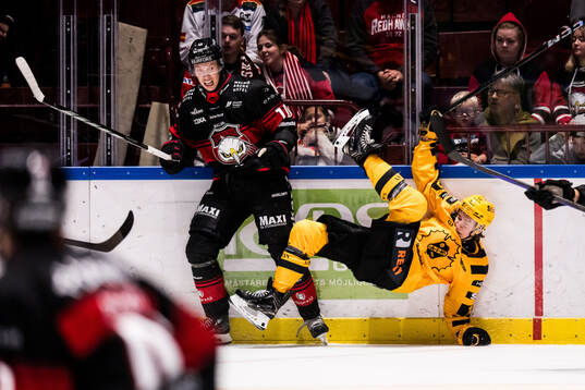Malmö Redhawks William von Barnekow och Skellefteås