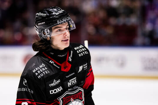 Malmö Redhawks Dominik Badinka