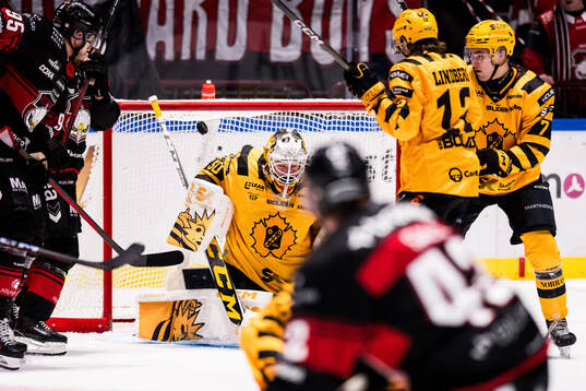 Skellefteås målvakt Gustaf Lindvall