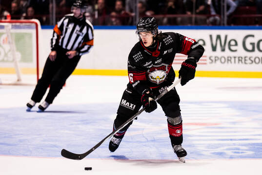 Malmö Redhawks Dominik Badinka