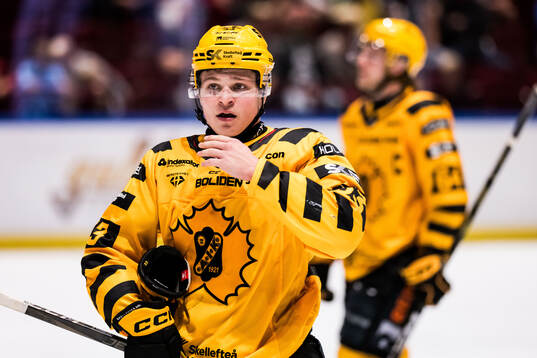 Skellefteås Zeb Forsfjäll