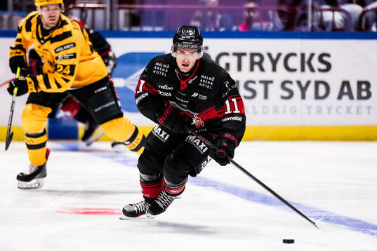 Malmö Redhawks Nikola Pasic