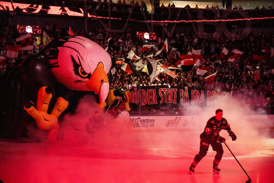 Malmö Redhawks Fredrik Händemark