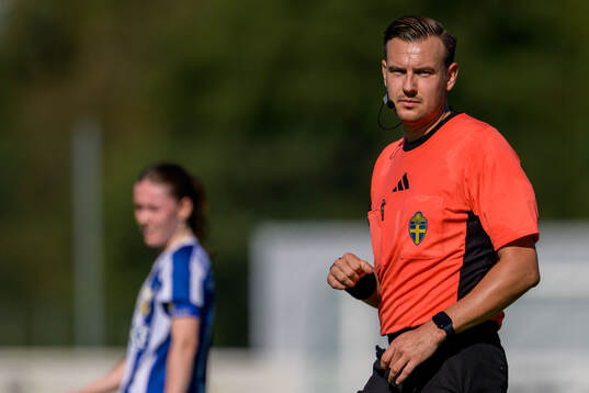 Domare Joakim Lundkvist