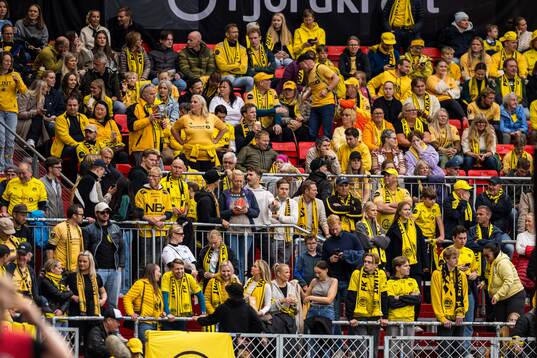 Spectators in the stands