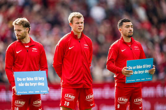 Ole Didrik Blomberg, Aune Heggebø and Niklas Fernando