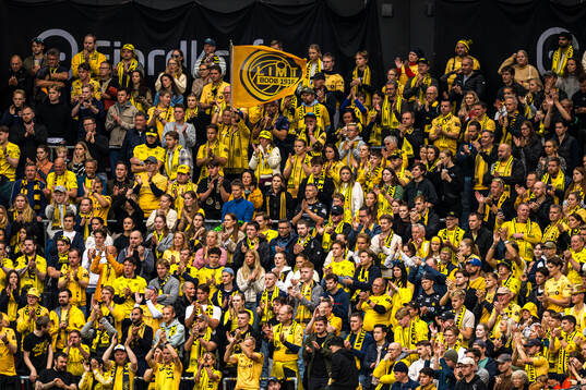 Spectators in the stands