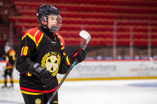 Brynäs Elin Fahlstedt