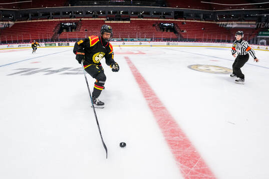 Brynäs Mina Waxin