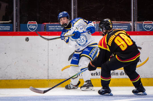 Leksands Courtney Vorster