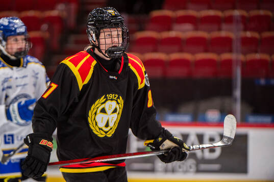 Brynäs Anna Brenkle