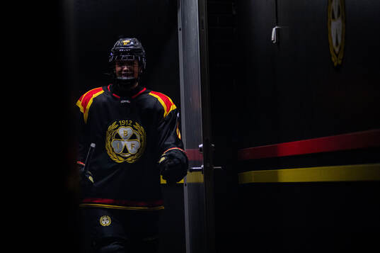 Bläddra bland fler bilder av Ishockey, SDHL, Brynäs - Leksand