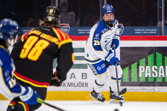 Leksands Courtney Vorster