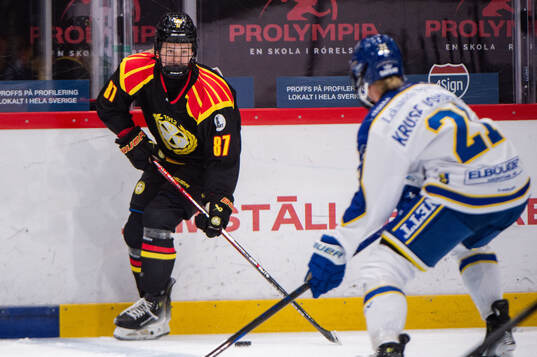 Brynäs Anna Brenkle