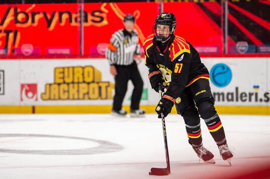 Brynäs Maja Ålenius