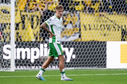 Hammarbys Fredrik Hammar deppar