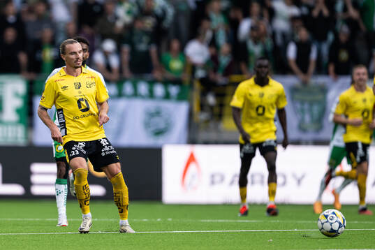 Elfsborgs Niklas Hult