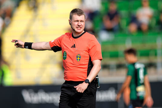 Domare Elias Ingi Arnason