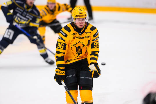 Skellefteås Rickard Hugg