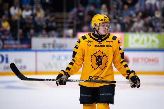 Skellefteås Axel Sandin Pellikka jublar