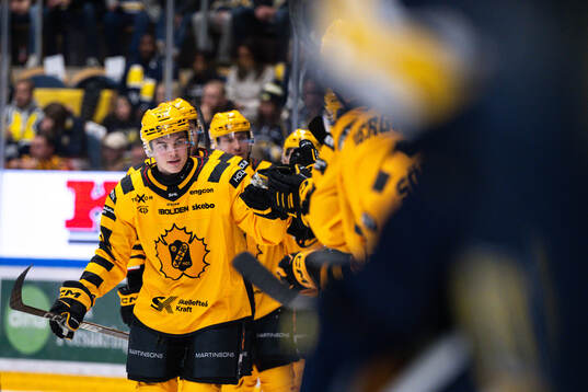 Bläddra bland fler bilder av Ishockey, SHL, HV71 - Skellefteå