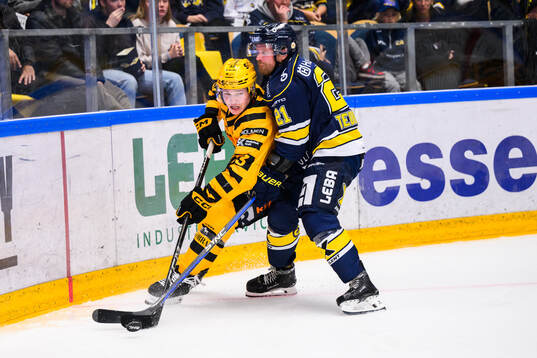 Skellefteås Zeb Forsfjäll och HV71s Mattias Tedenby