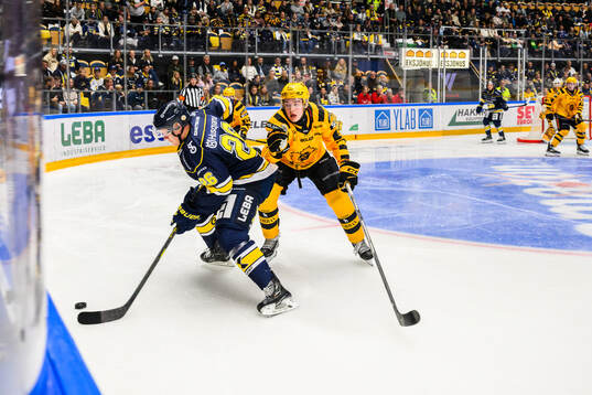 HV71s Tommi Tikka och Skellefteås Axel Sandin Pellikka