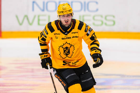 Skellefteås Max Lindholm