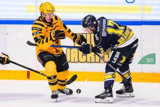 Skellefteås Axel Sandin Pellikka och HV71s Isac