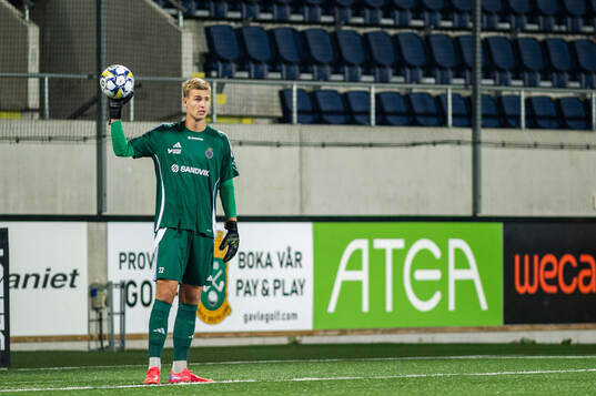 Gefles målvakt Mathias Nilsson