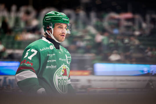 Rögles Leon Bristedt
