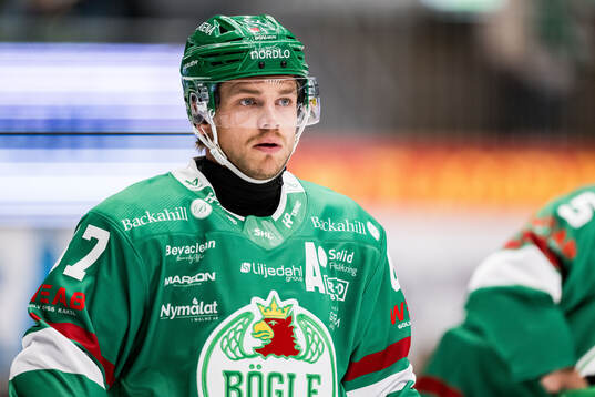 Rögles Leon Bristedt