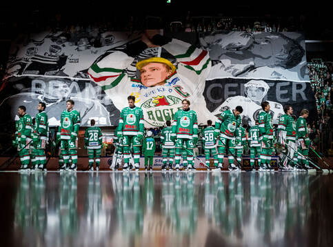 Bläddra bland fler bilder av Ishockey, SHL, Rögle - Frölunda