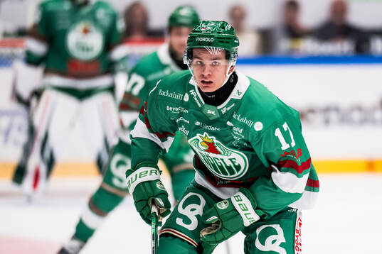 Rögles Max Karlsson