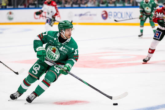 Rögles Leon Bristedt