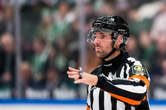 Domare Mikael Sjöqvist