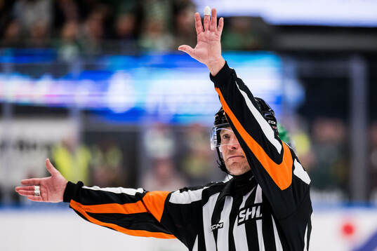 Domare Tobias Björk