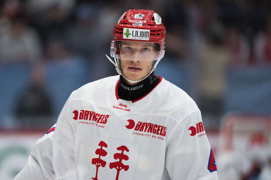 Timrås Maximilian Eisenmenger