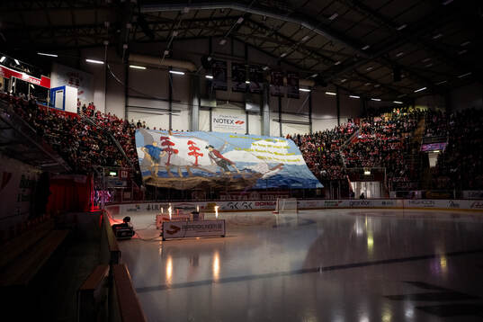 Timråpubliken med tifo