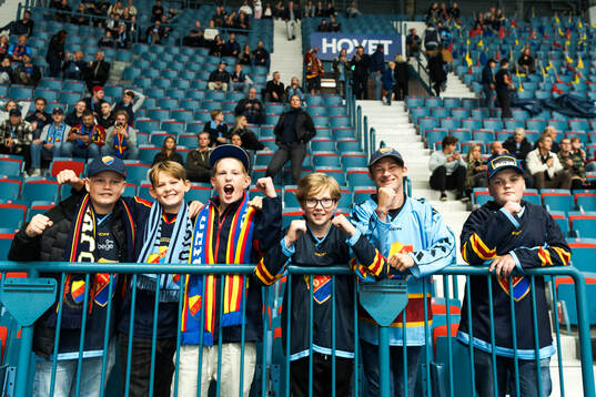 under ishockeymatchen i Hockeyallsvenskan mellan